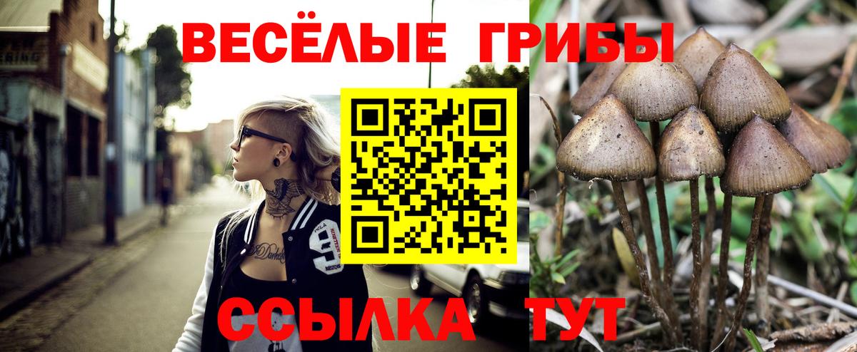 Галлюциногенные грибы ЛСД  Псилоцибиновые грибы Psilocybe  хочу наркоту  Электросталь  Вход с VPN 